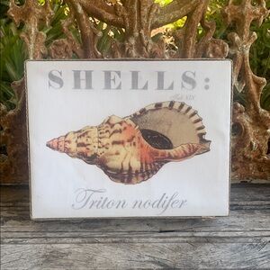 Mud pie Coastal Shells Triton Nodifer Wall Art /Beach/ Nautical Decor